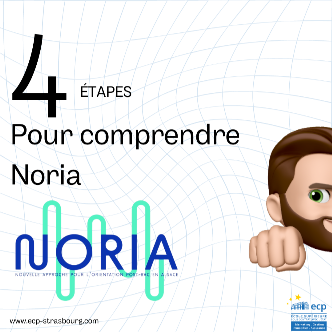 Projet NORIA IMMERSION