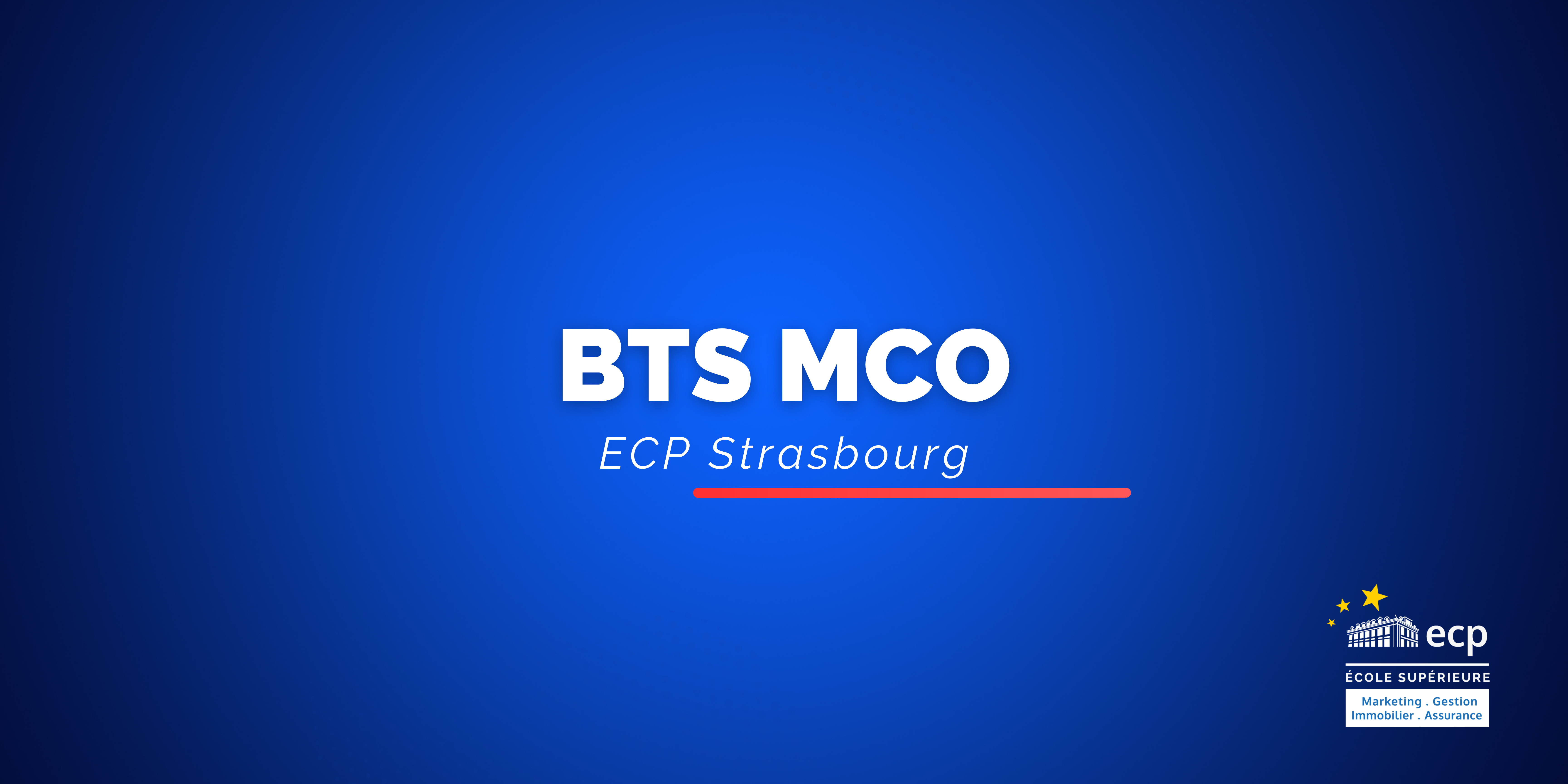 BTS MCO - Management Commercial Opérationnel